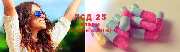 индика Аркадак