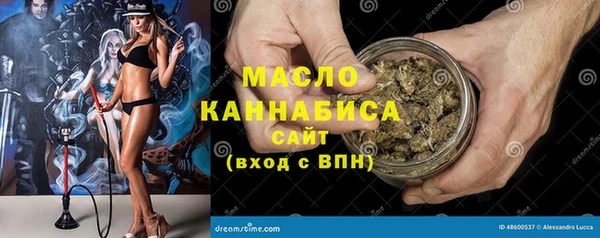 индика Аркадак