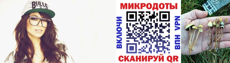 Галлюциногенные грибы Cubensis  Канск 